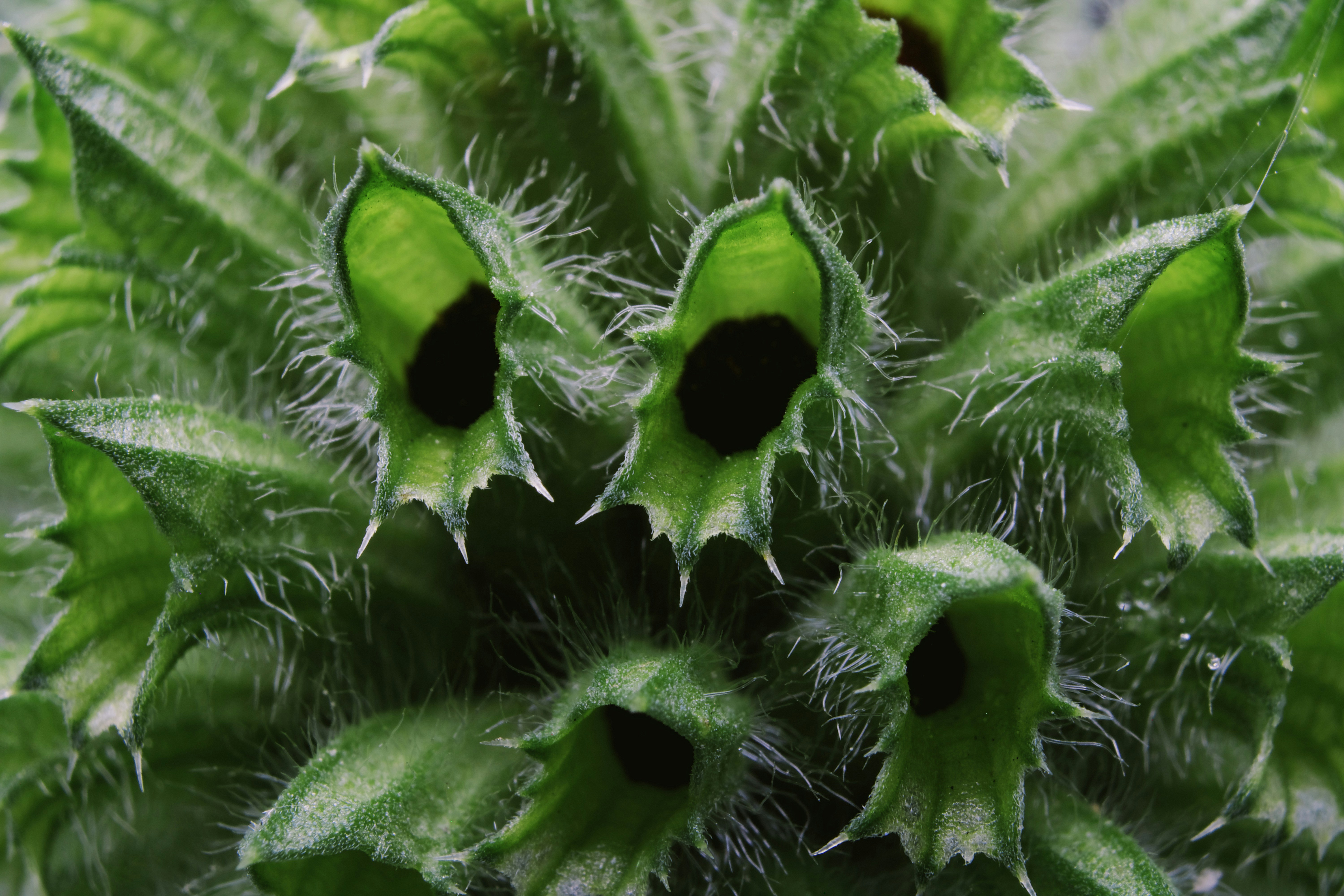 Photo by picsbyjameslee