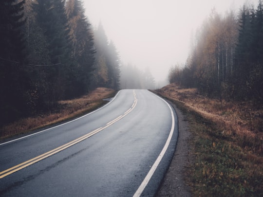 gray asphalt road between green trees during daytime in Central Finland Finland