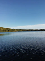 A serene view of Tehri Lake with lush green forests surrounding the homestay under a clear sky