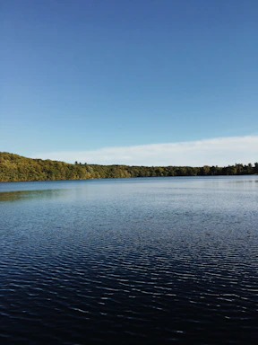 A serene view of Tehri Lake with lush green forests surrounding the homestay under a clear sky