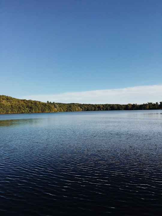 green trees near body of water under blue sky during daytime in Mont-Saint-Bruno National Park Canada