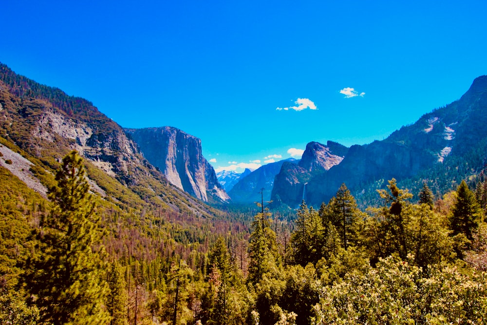 green trees and mountains under blue sky during daytime