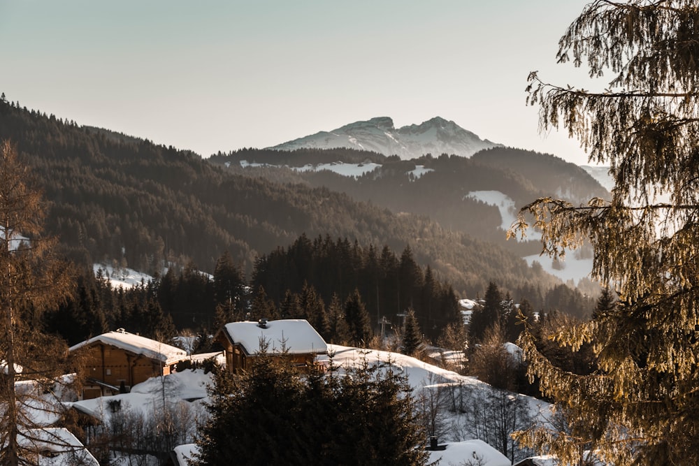 white and brown house near green trees and snow covered mountains during daytime