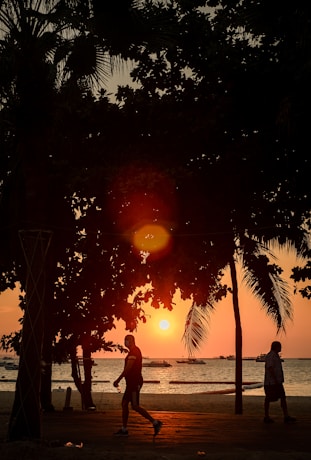 silhouette of woman standing near palm trees during sunset