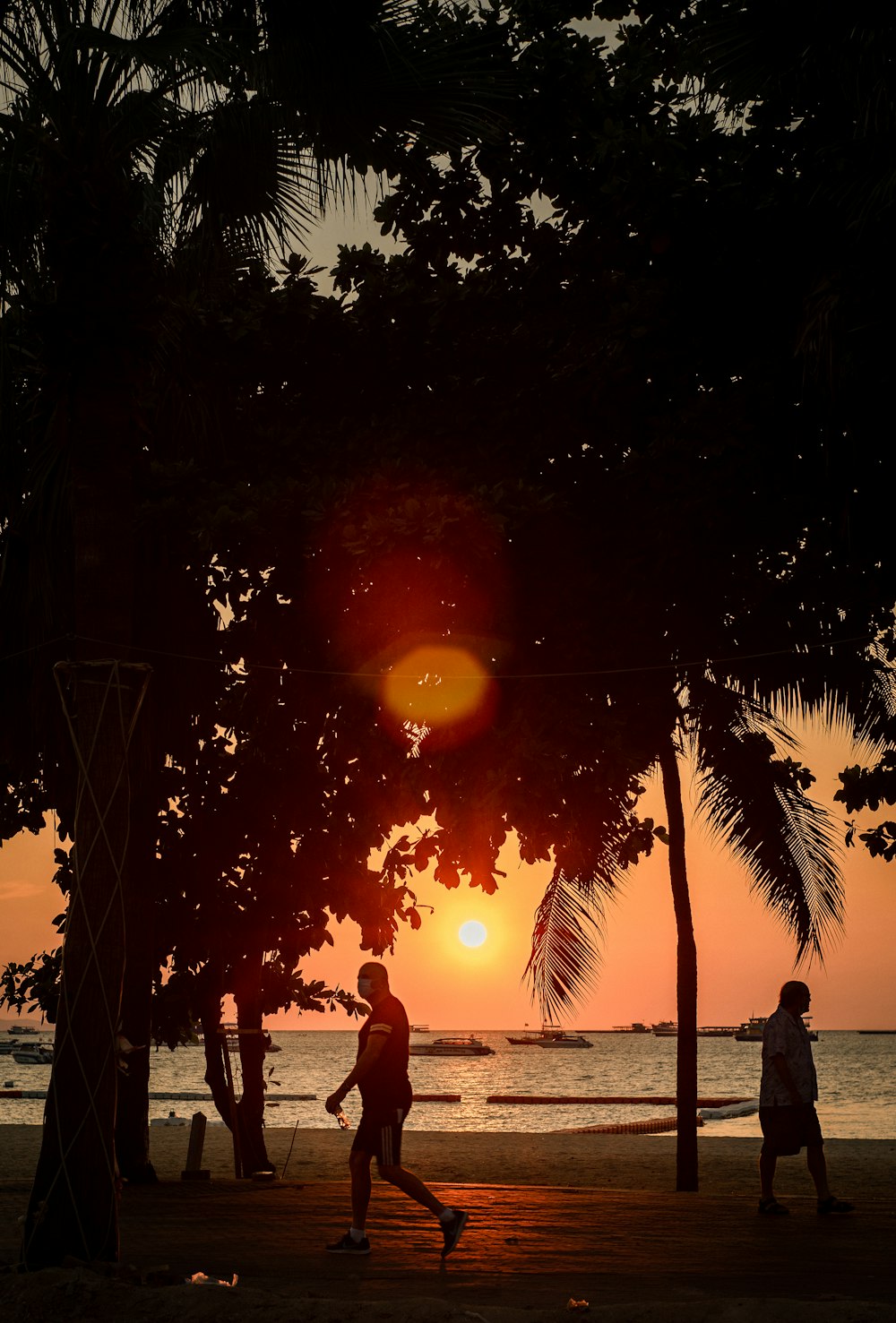 Silhouette einer Frau, die bei Sonnenuntergang in der Nähe von Palmen steht