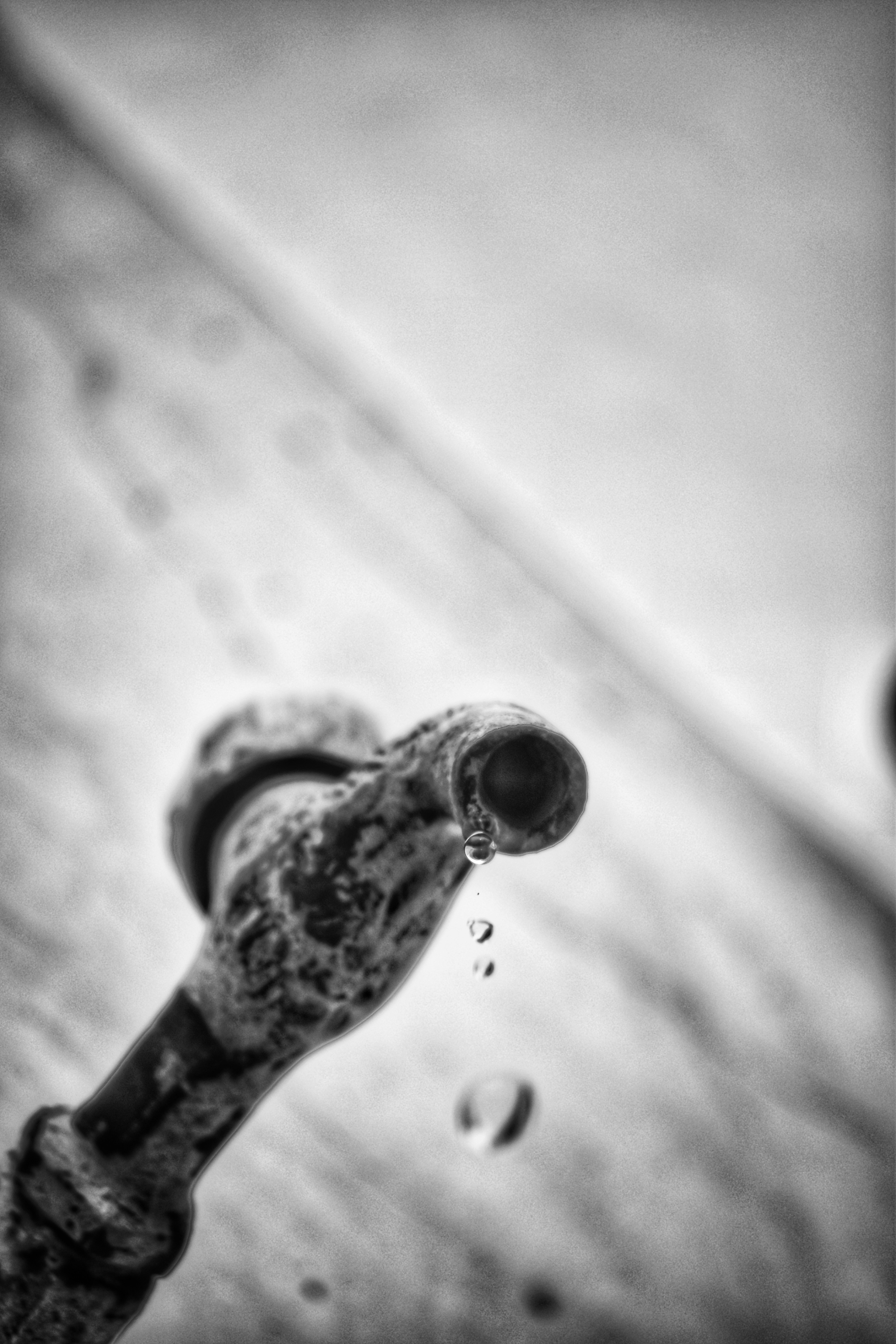 Photo by pacifist_pixel