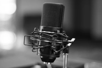 black and silver microphone on black microphone stand