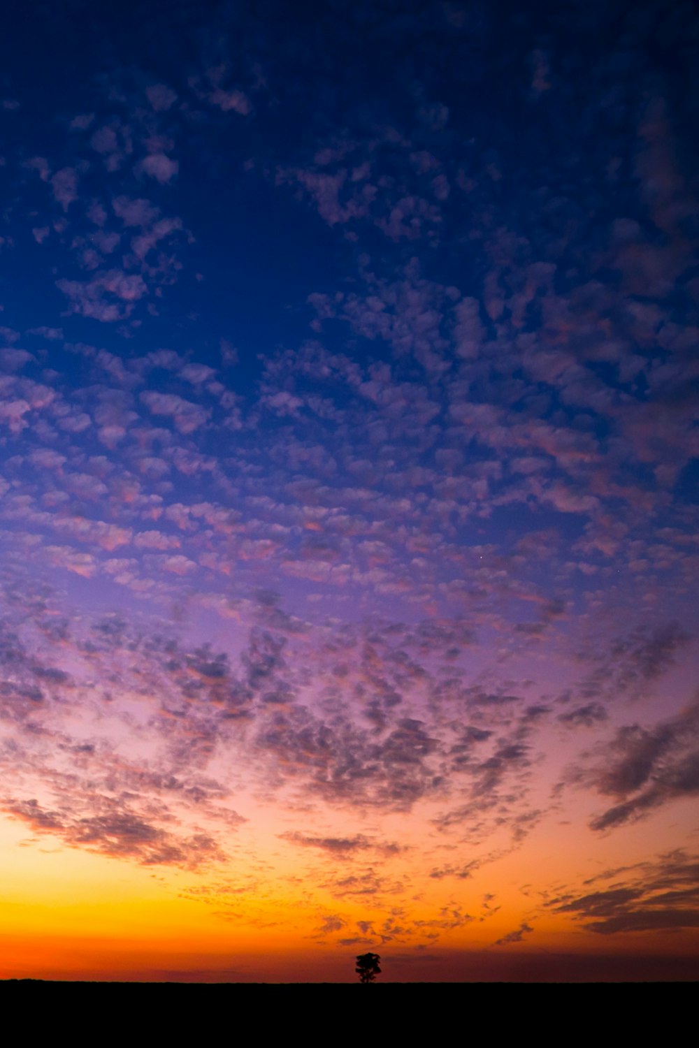 blue and white cloudy sky during daytime