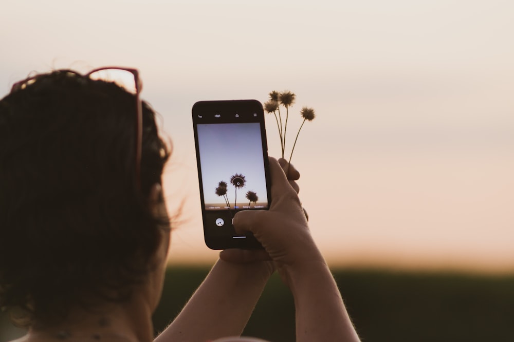 person holding iphone taking photo of flower