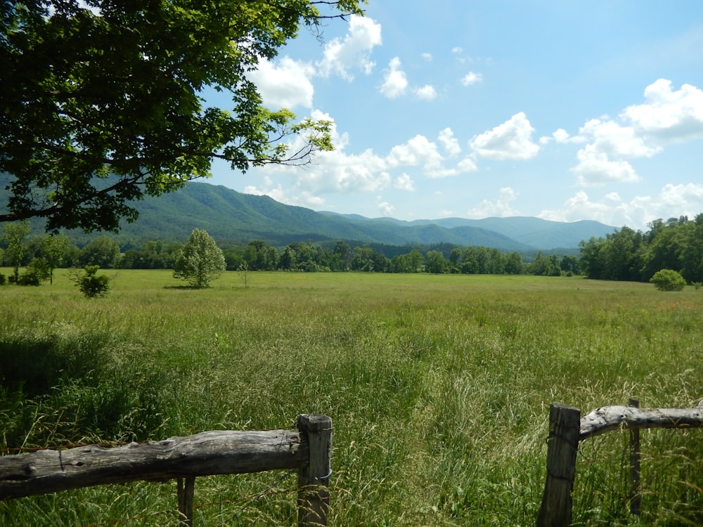 green grass field near green mountains under white clouds and blue sky during daytime