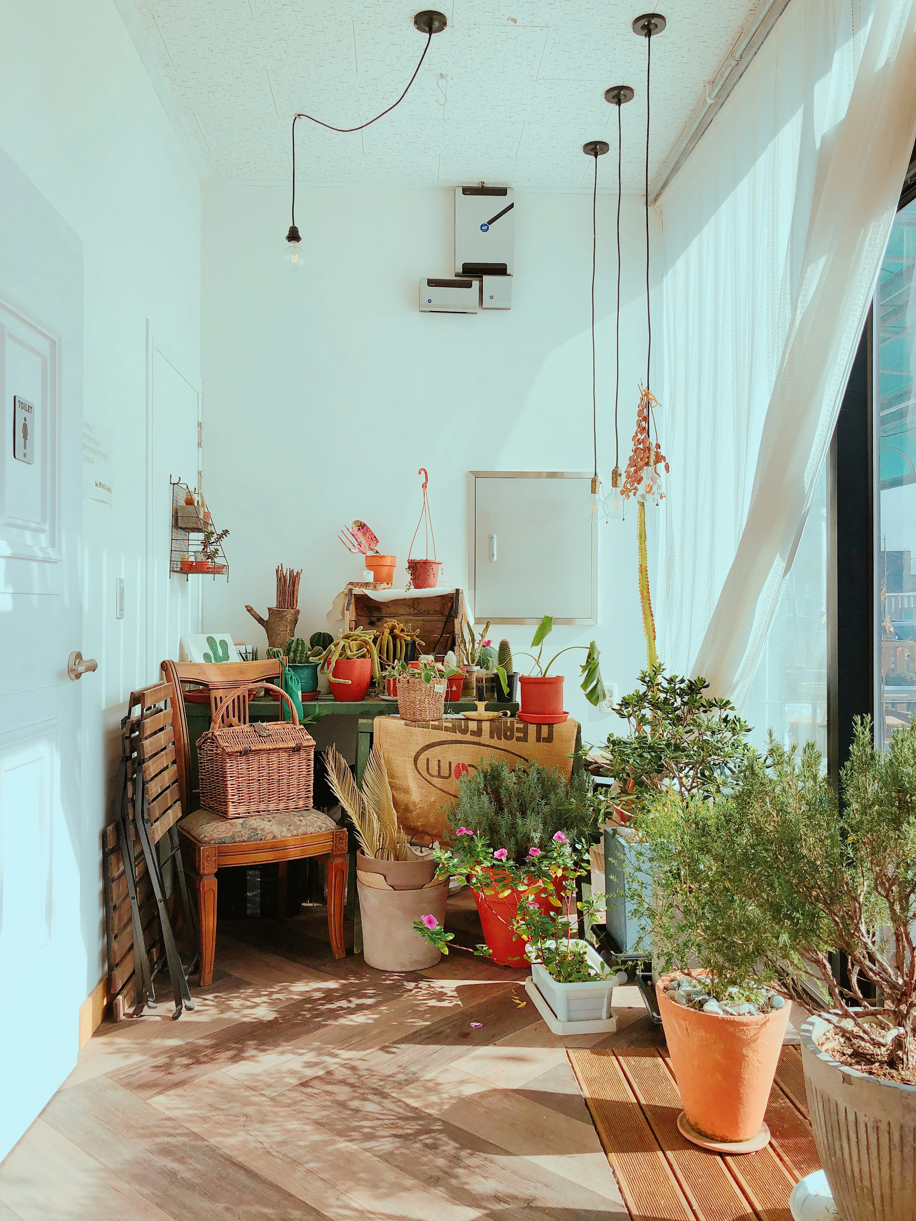 Photo by choicholong