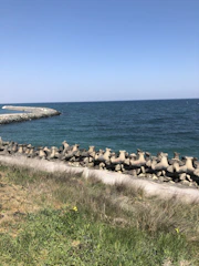 A serene coastline with engineers studying shoreline protection structures under a clear blue sky.