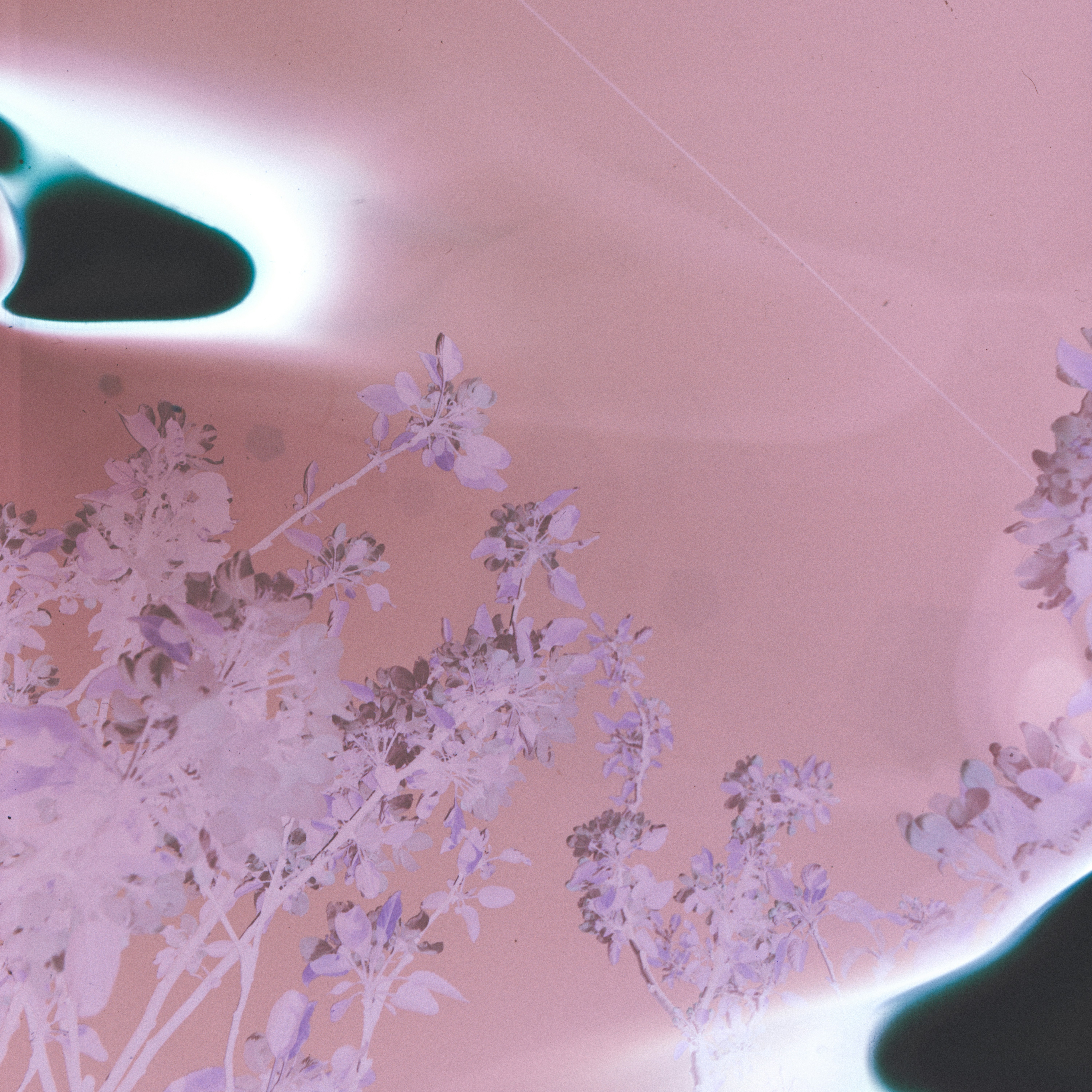 Photo by anniespratt