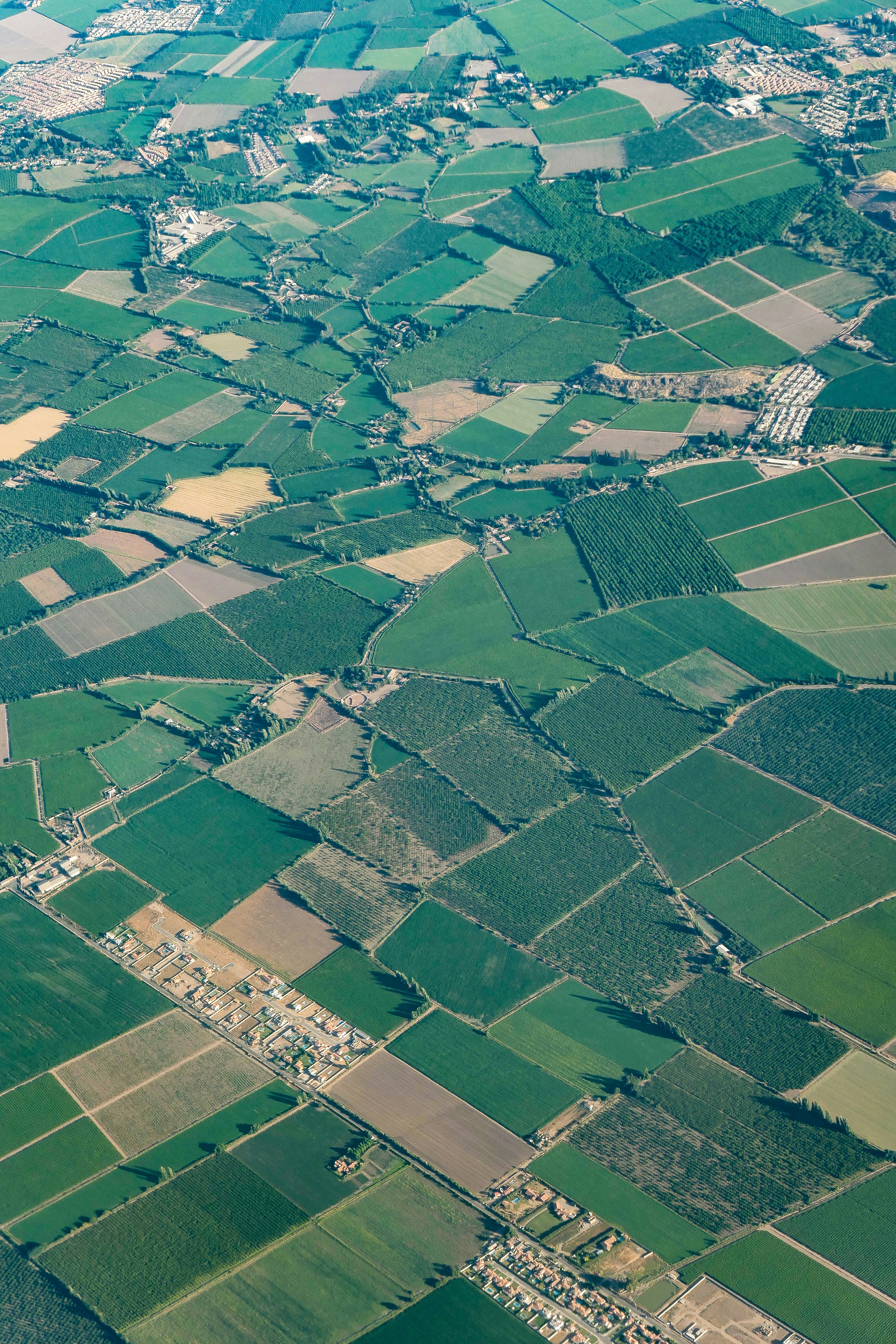 aerial view of green and brown field during daytime photo Free Green