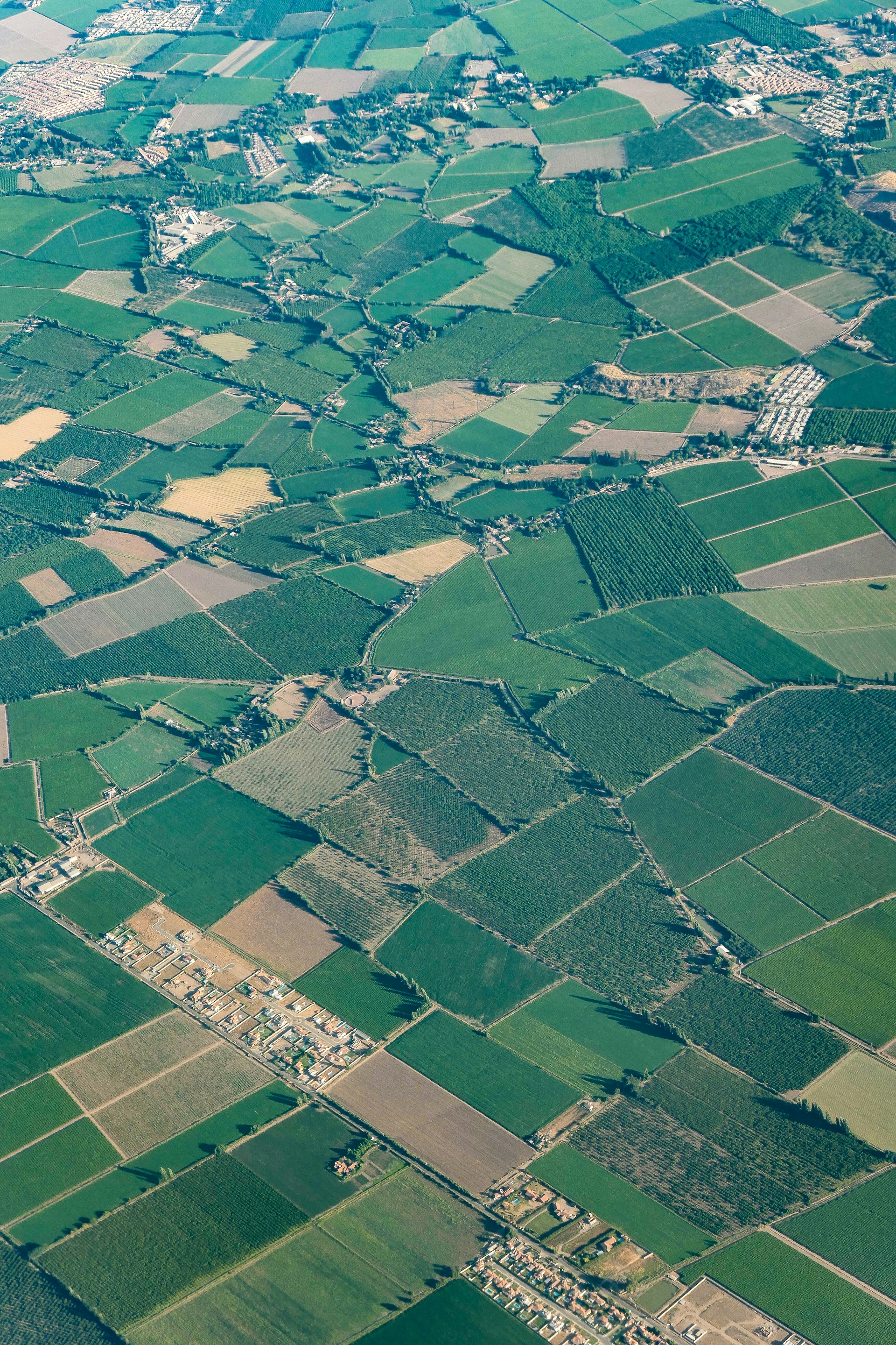 woman wearing yellow long-sleeved dress under white clouds and blue sky during daytime