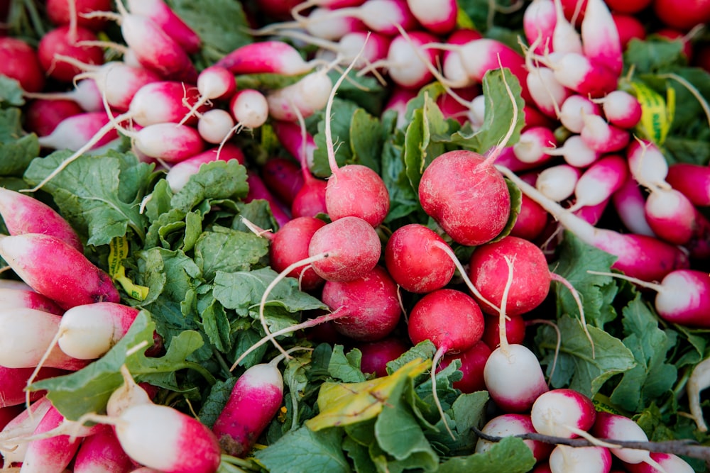 frutos rojos redondos sobre hojas verdes