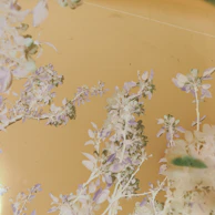 Delicate brushwork capturing a nostalgic childhood memory in warm ivory and dusty blue.