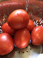 Close-up of a stainless steel tomato processing machine with ripe tomatoes being peeled.
