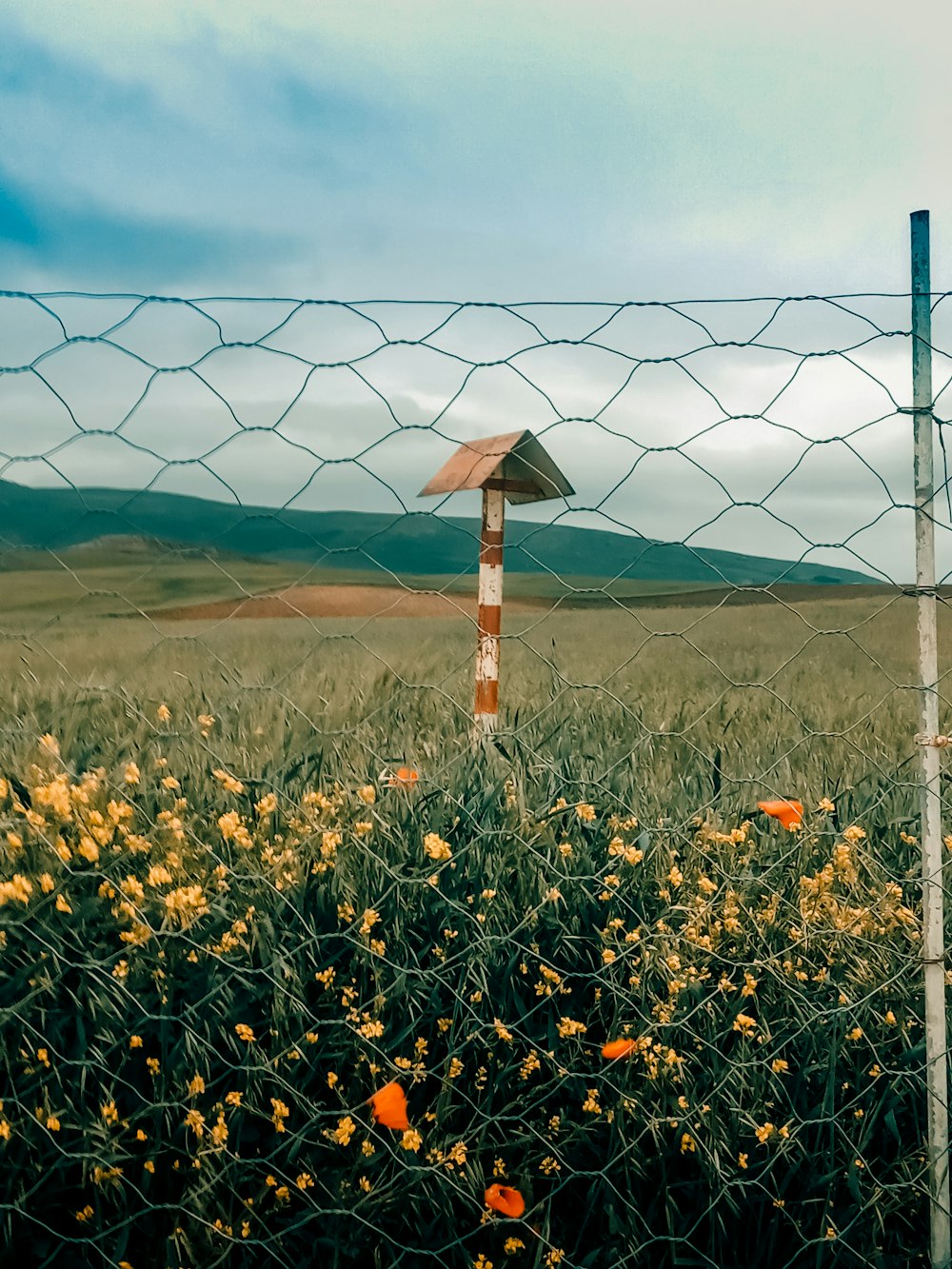 brown wooden post on green grass field during daytime