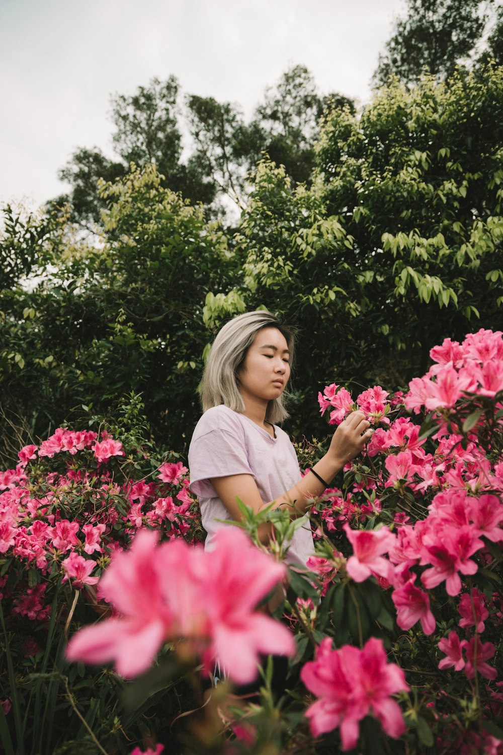 woman in white t-shirt standing near pink flowers during daytime