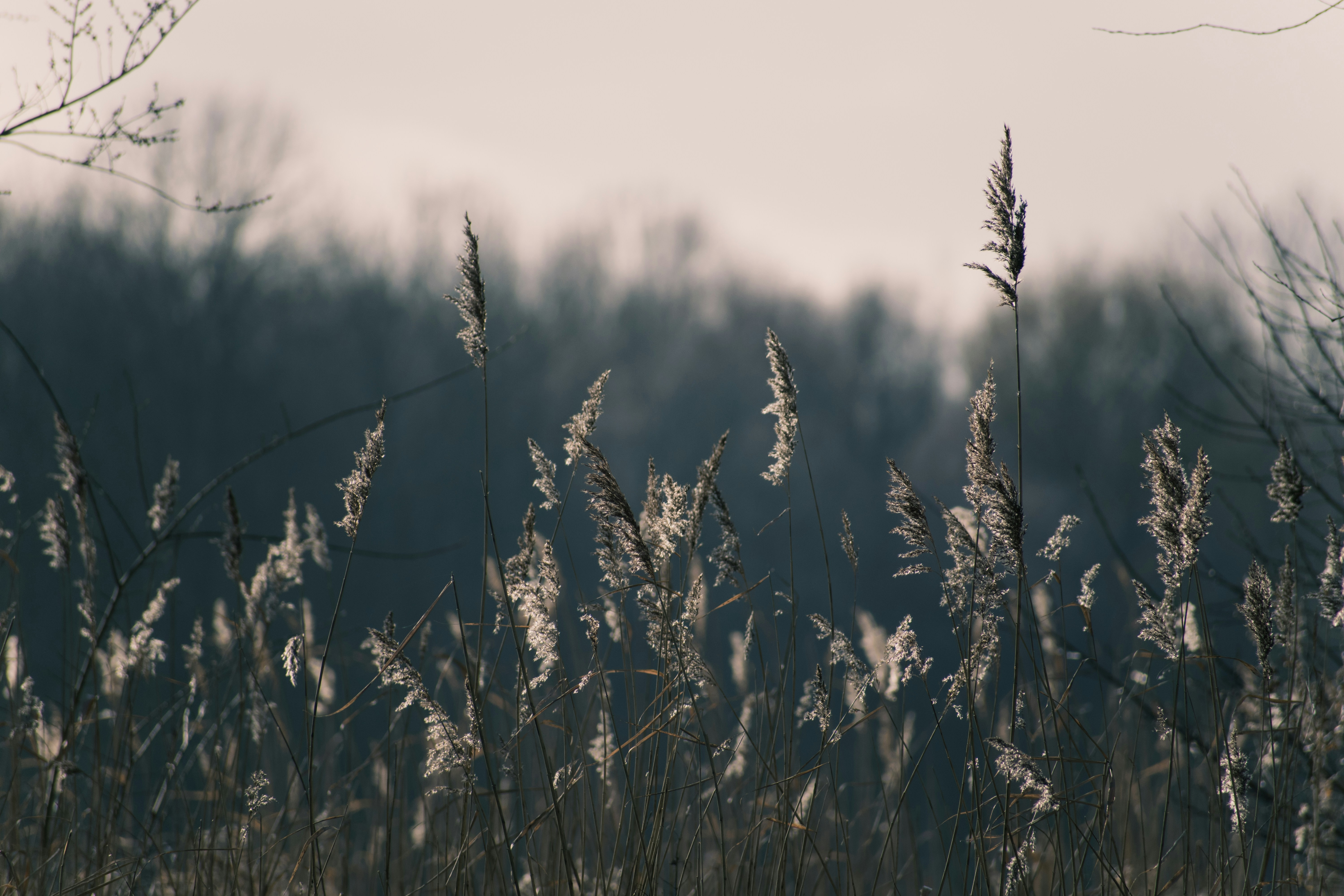 Photo by thezenoeffect