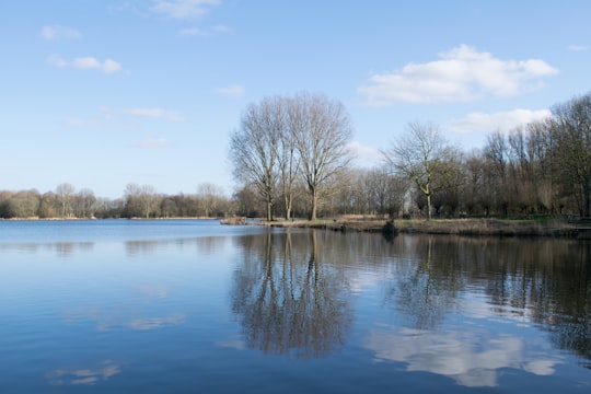 photo of Delftse Hout Nature reserve near Delft