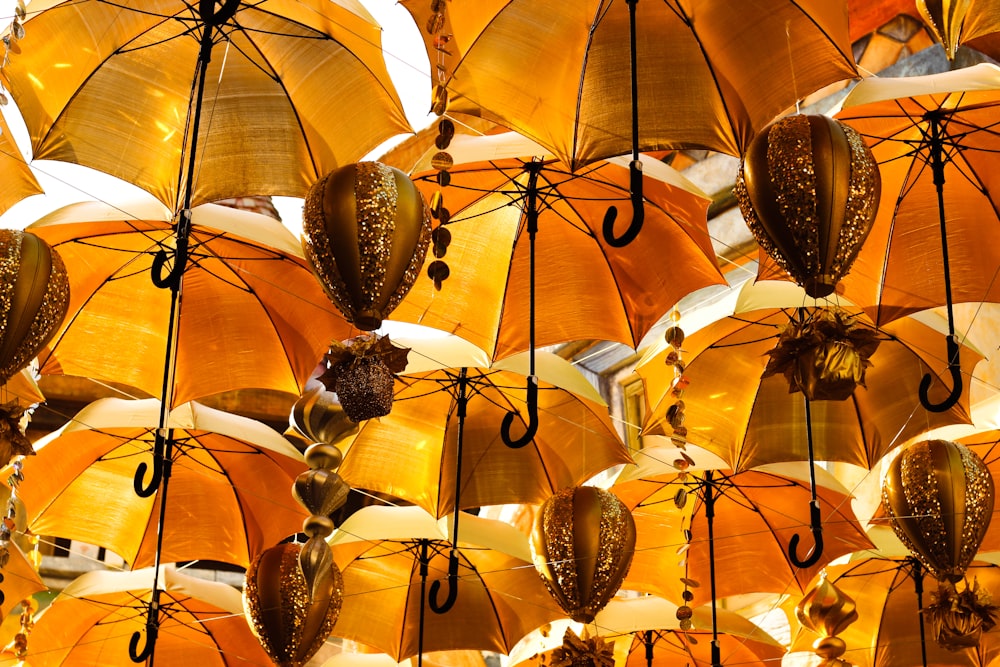 orange umbrellas with black and white birds