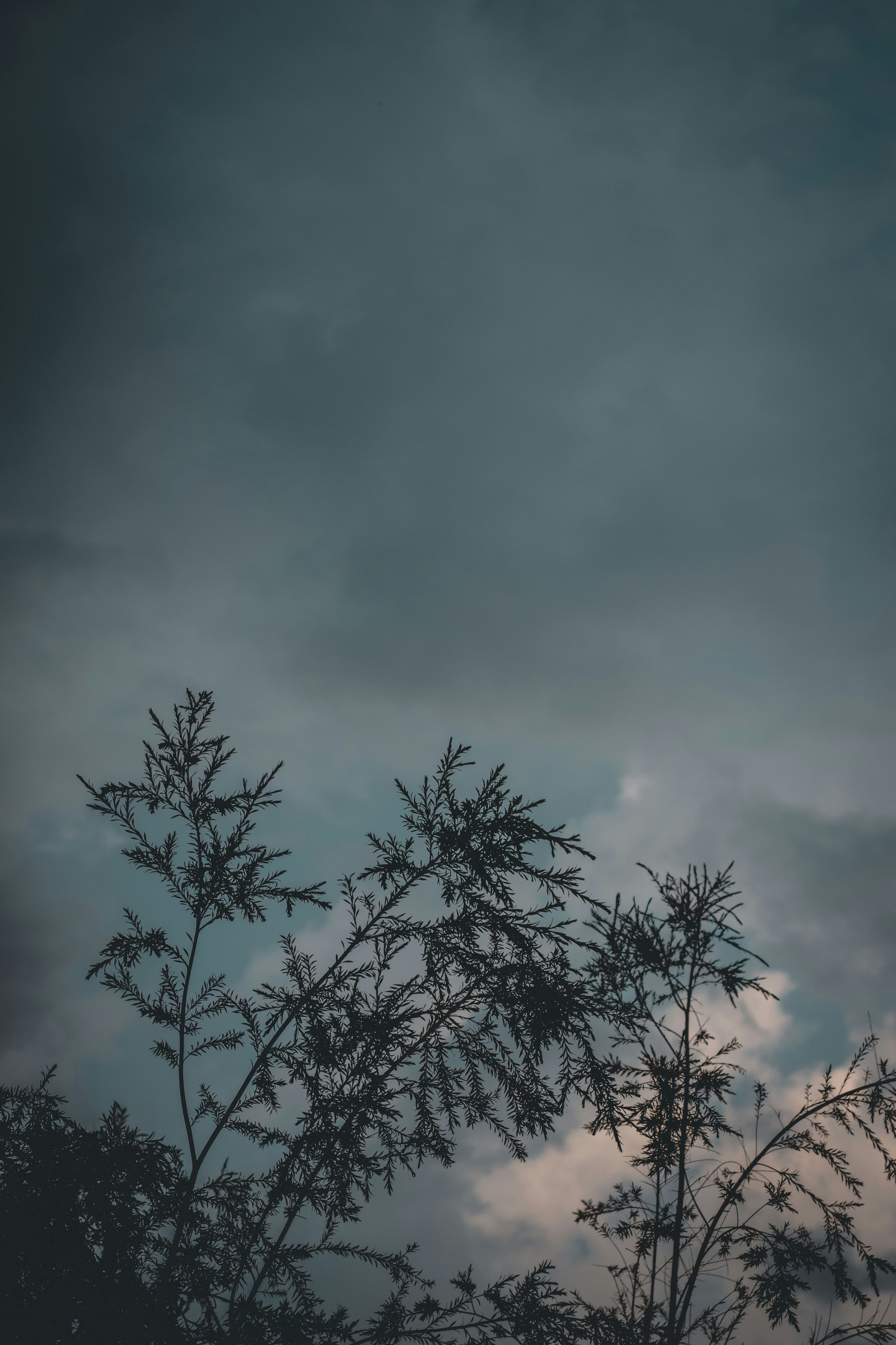 Photo by devasangbam