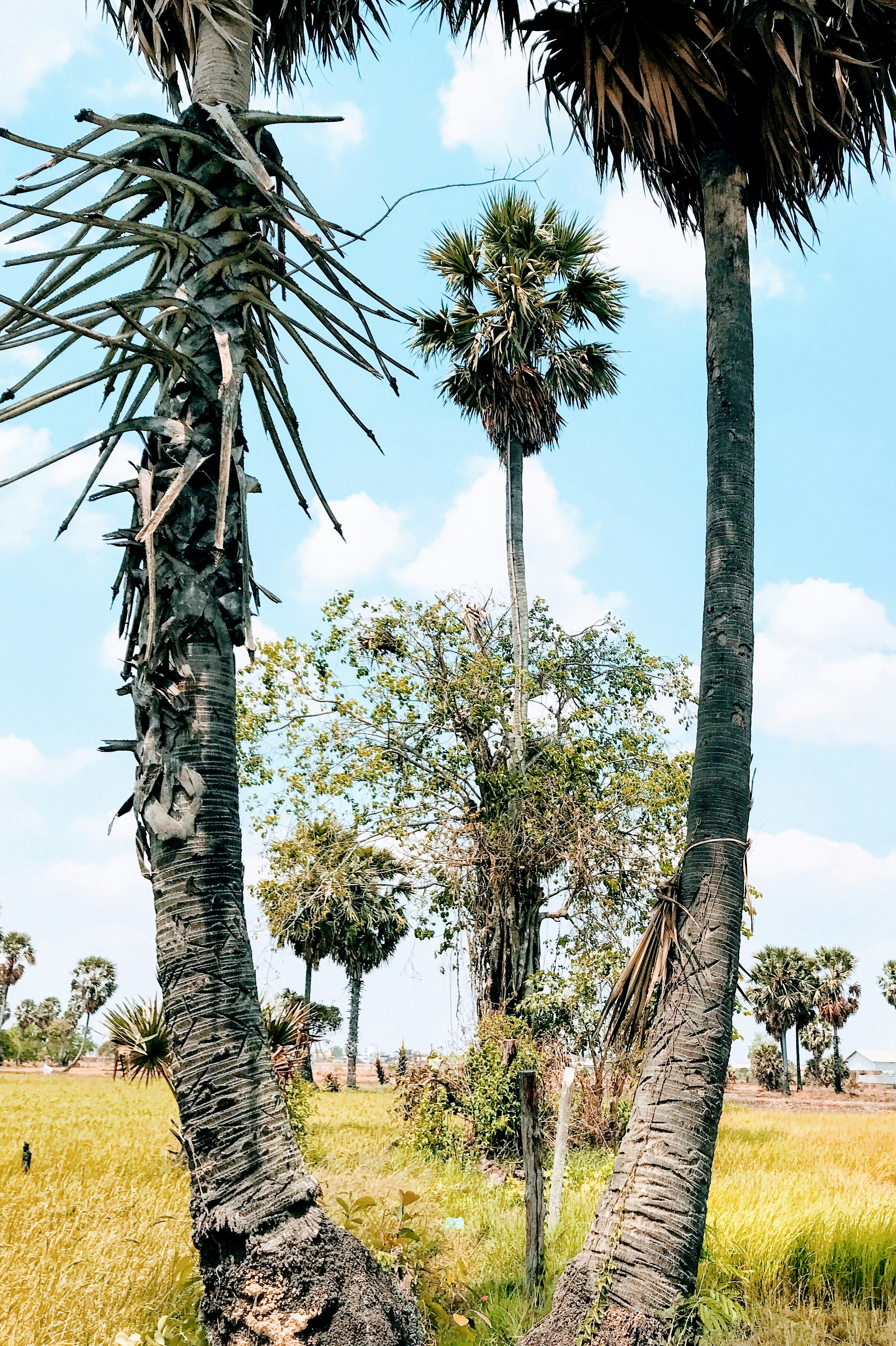 Photo by bunhengsrun