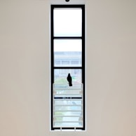 Wide shot of a residential window secured with black anti-pigeon netting.