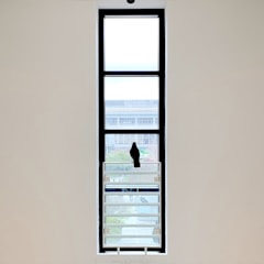 Wide shot of a modern apartment window fitted with sleek pigeon nets.