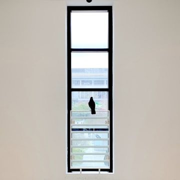 Wide shot of a modern apartment window fitted with sleek pigeon nets.