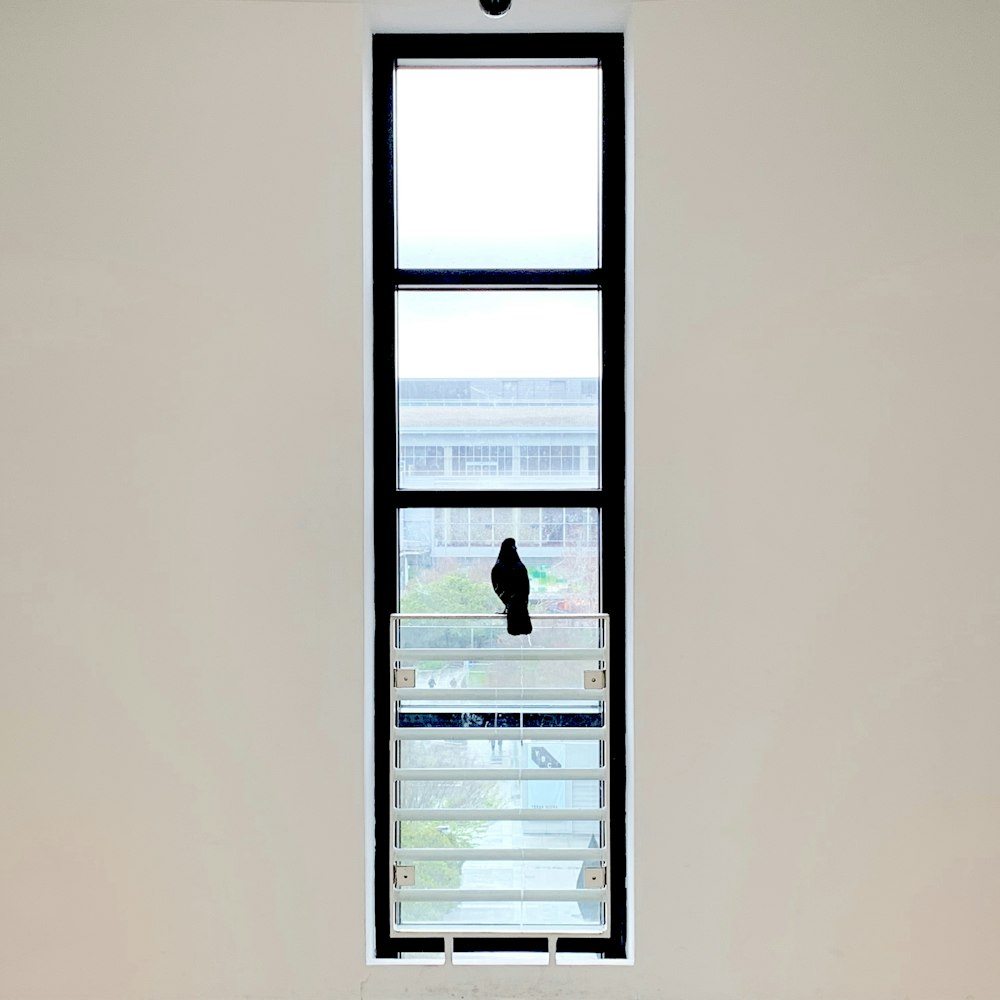 man in black shirt standing in front of window