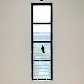 A tall, narrow window set into a plain wall features a silhouetted bird perched on the window grill. Outside, a blurred view of a building and greenery can be seen through the glass, suggesting an urban environment.