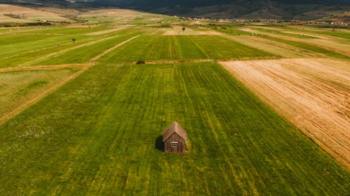 A homesteader's cabin surrounded by cleared farmland and forest edges.
