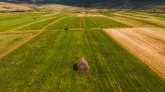 A sturdy prefab cabin set on a farm with open fields and livestock nearby.