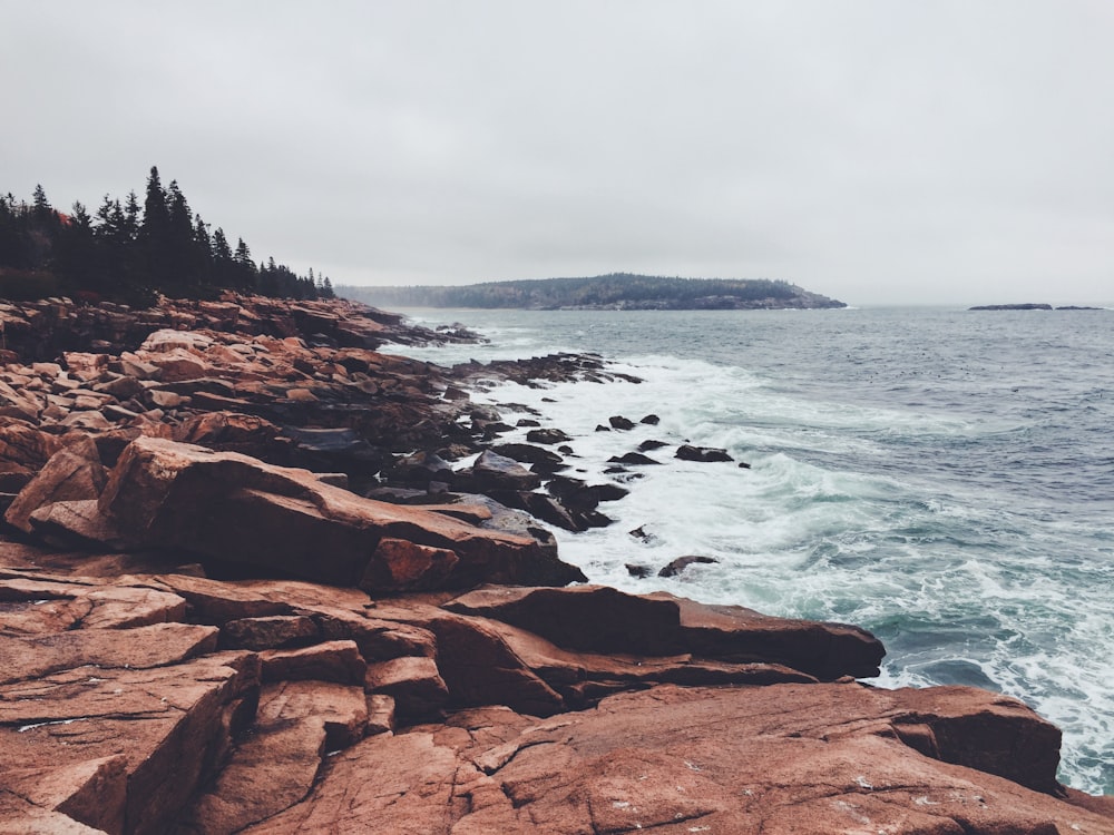 brown rocky shore near body of water during daytime