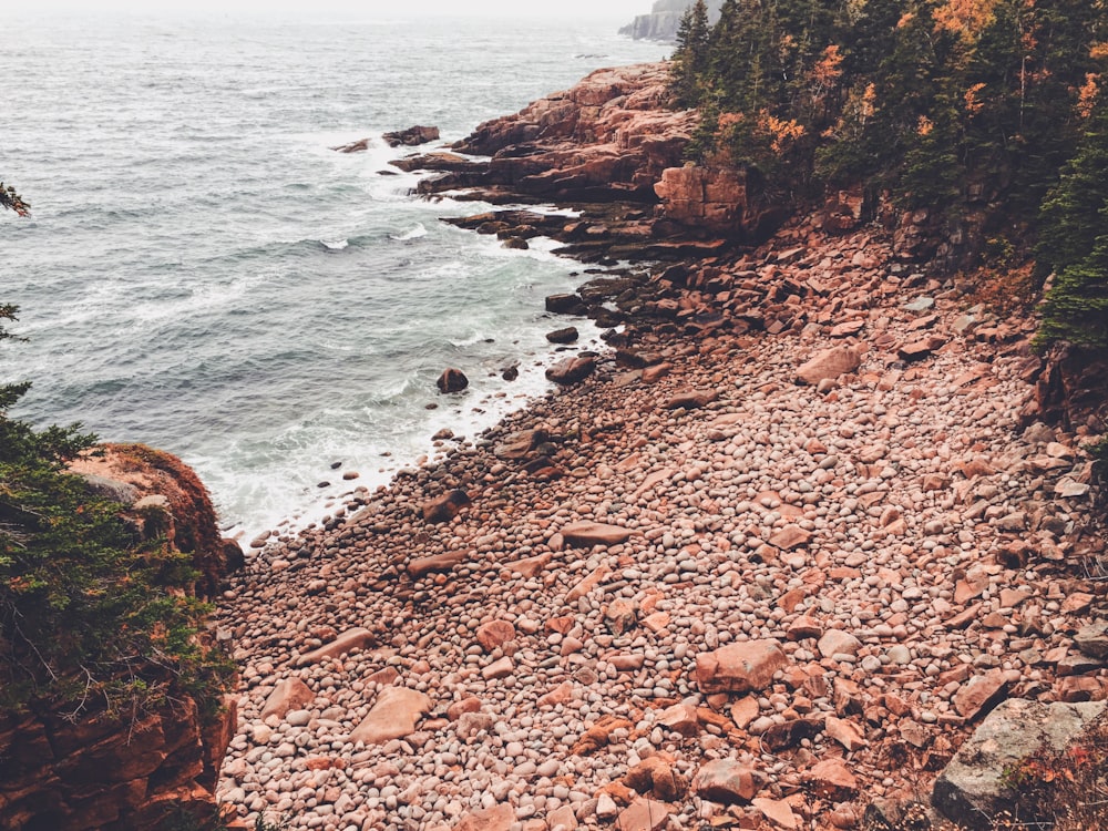 brown rocky shore near body of water during daytime