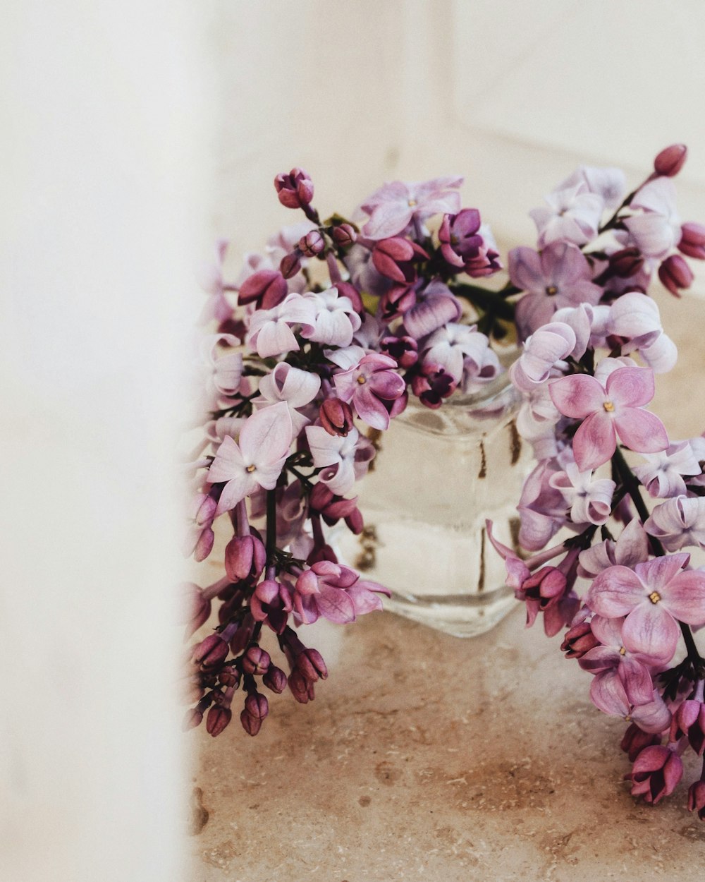 purple flowers on white ceramic vase