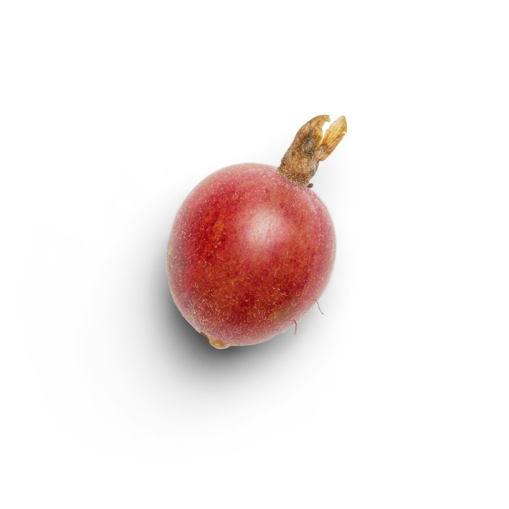 Frutta rotonda rossa su superficie bianca