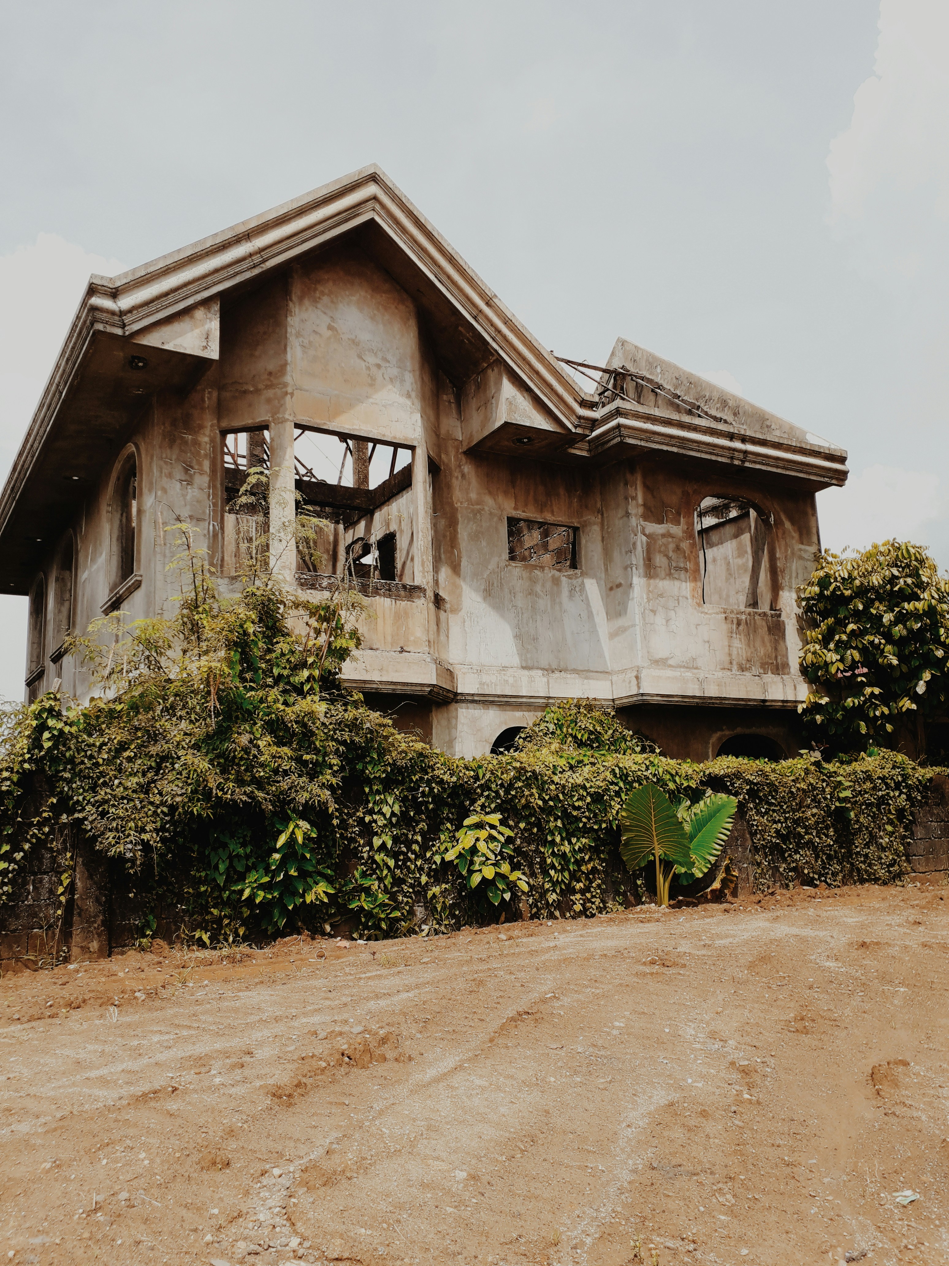 brown and white wooden house near green plants during daytime