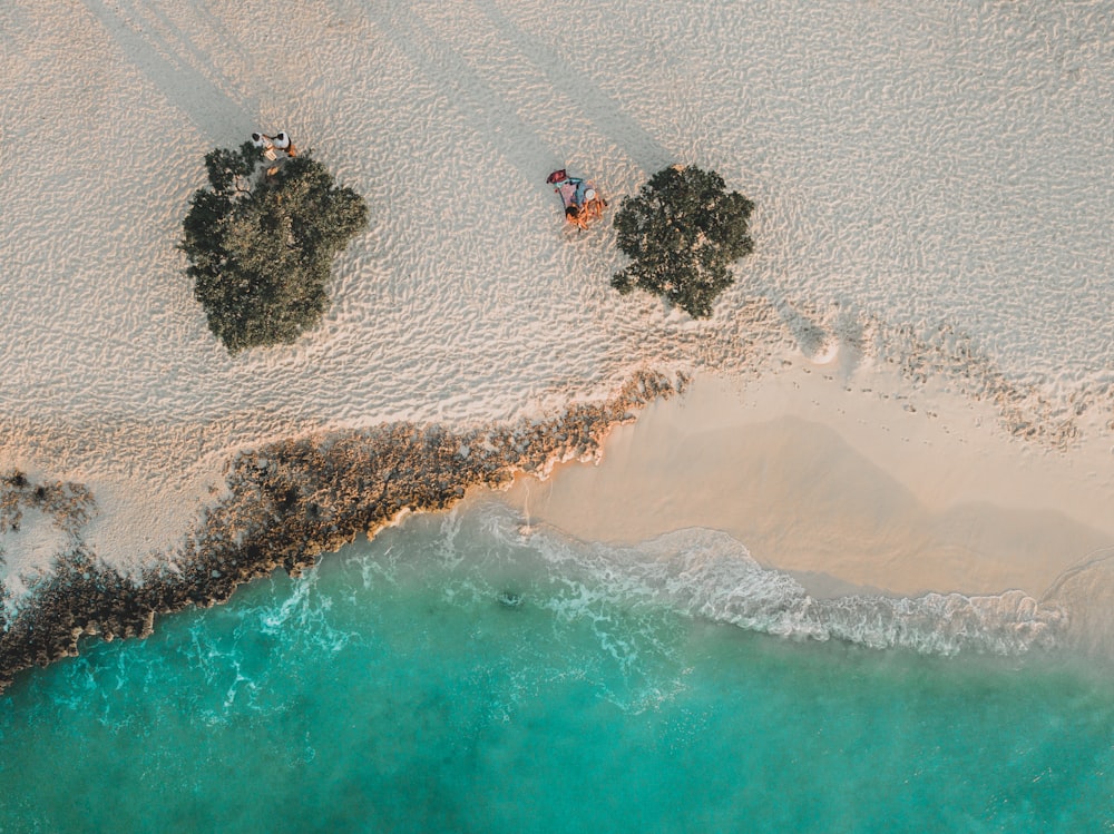 aerial view of people on beach during daytime