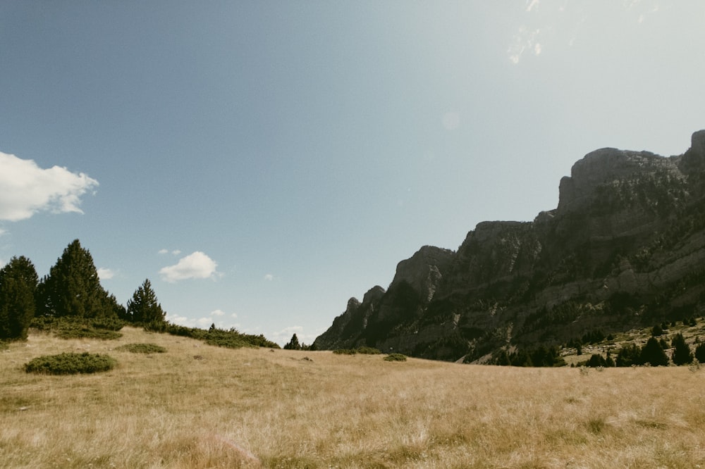 green grass field near mountain under blue sky during daytime