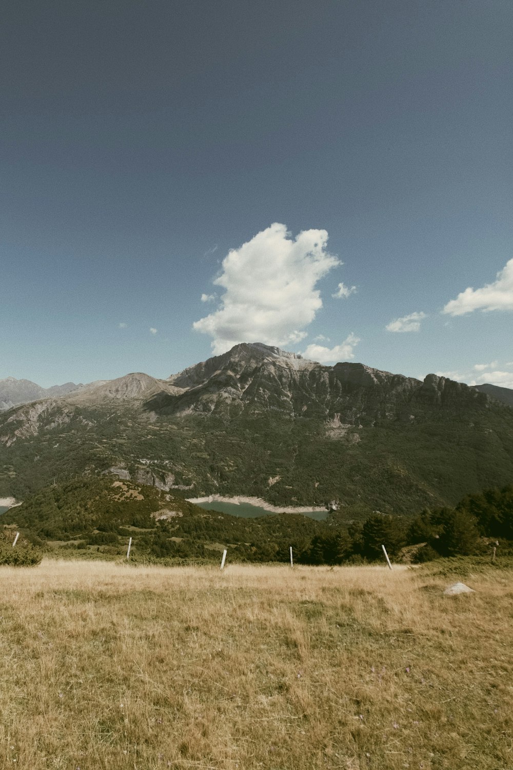 a grassy field with a mountain in the background