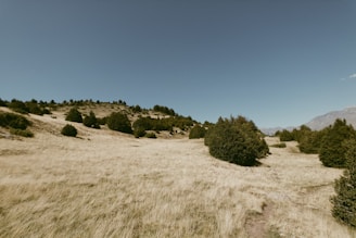 A peaceful stretch of protected rangeland, showcasing the foundation’s environmental efforts.