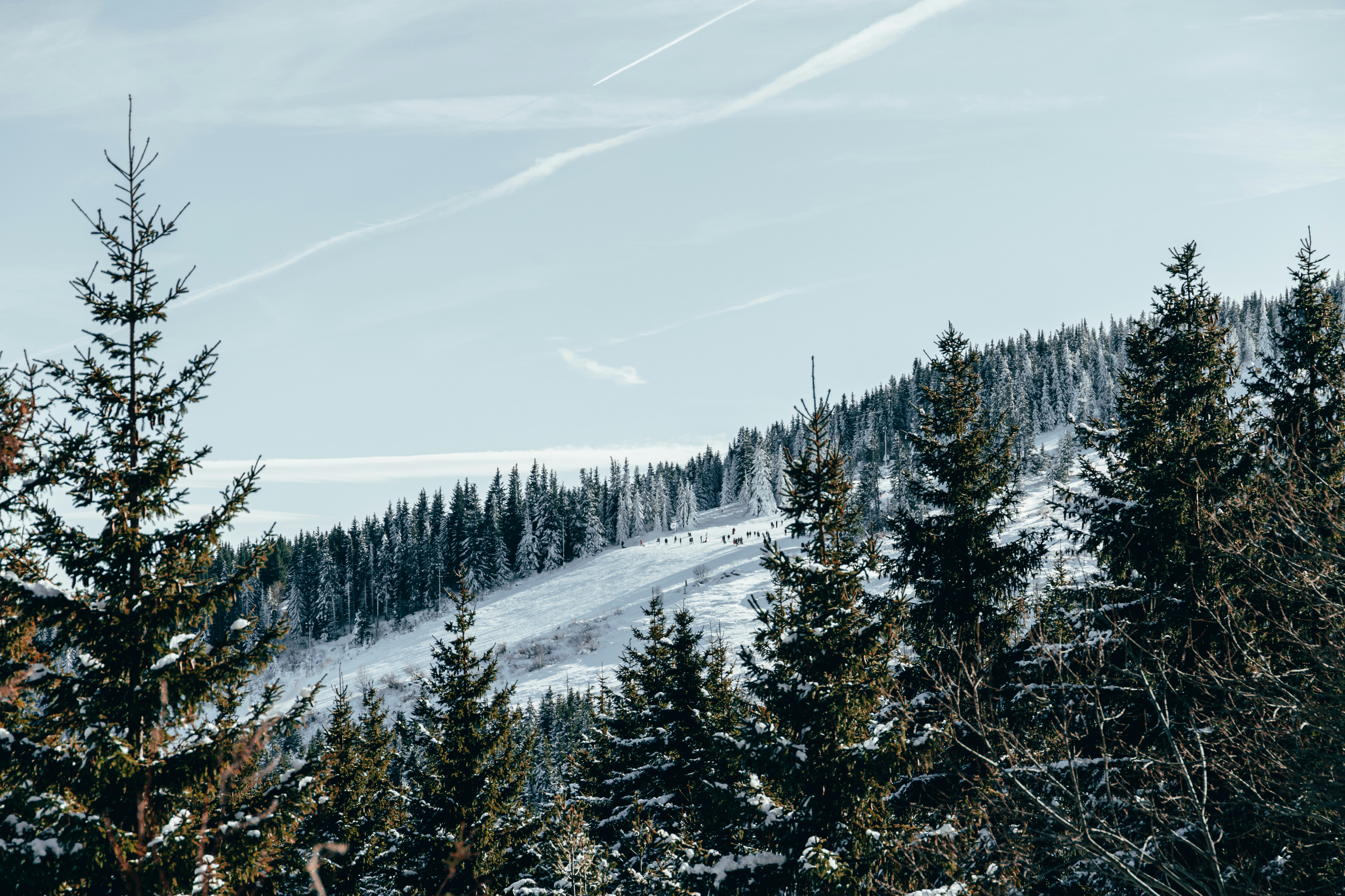 Photo by thewanderinggenk