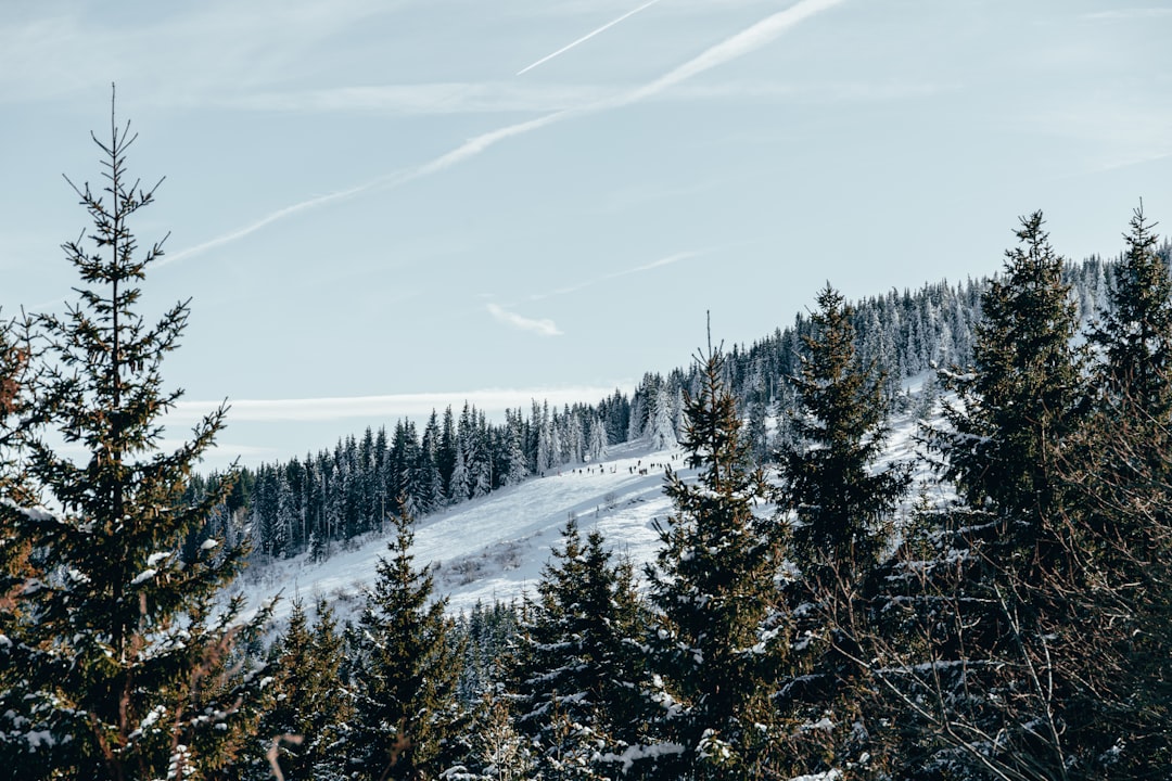 Mountain photo spot Vitosha Sofia