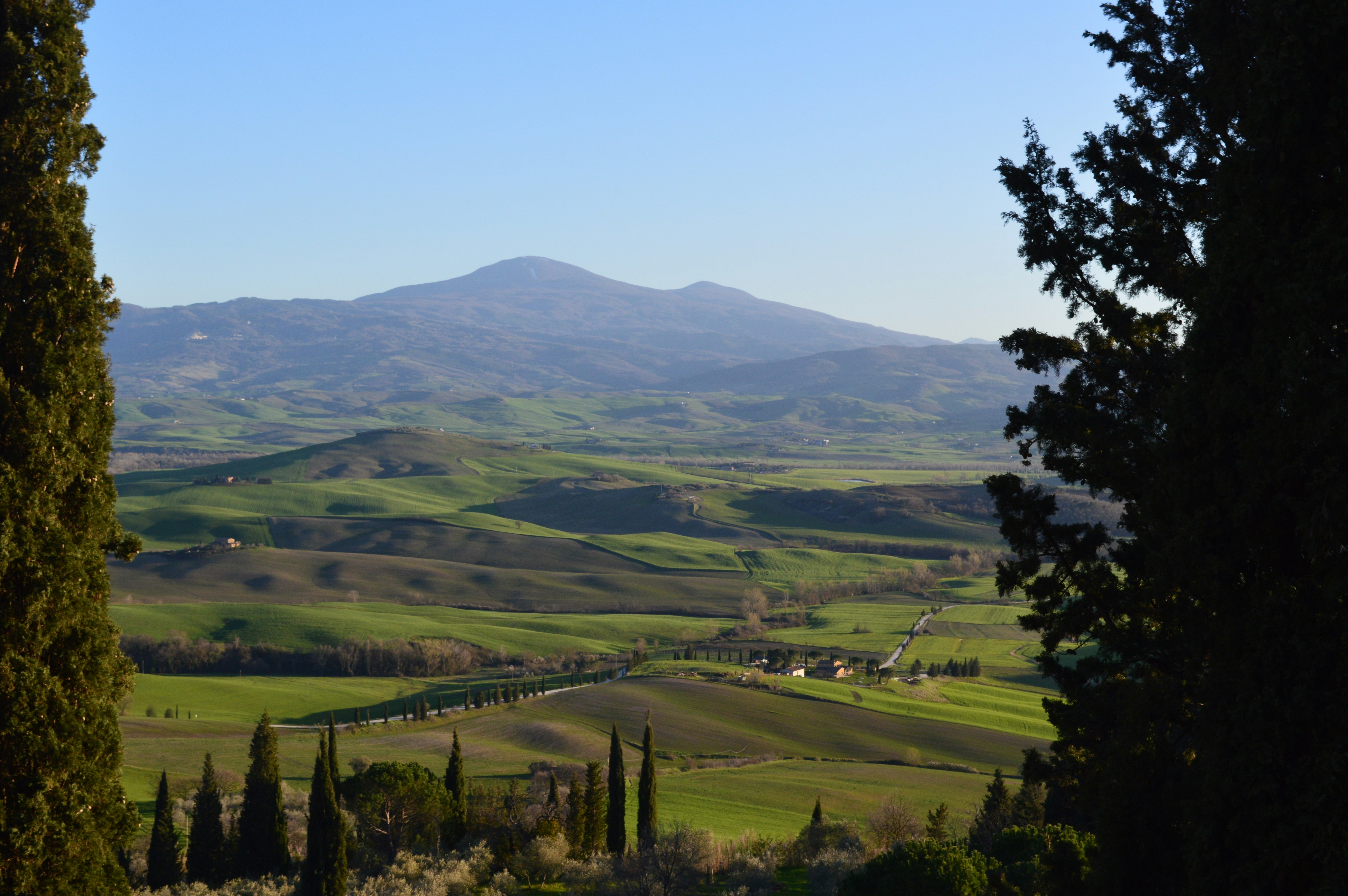 Photo by mnardsplash