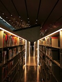Bookshelves filled with thematic collections in a bright, modern library space.