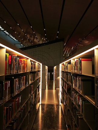 Bookshelves filled with thematic collections in a bright, modern library space.